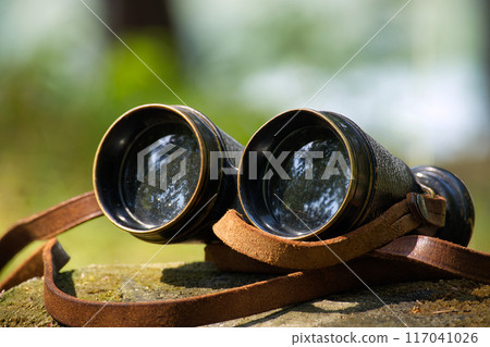 Vintage binoculars resting on a tree stump in a peaceful forest setting Vintage binoculars resting on a tree stump in a peaceful forest setting 117041026