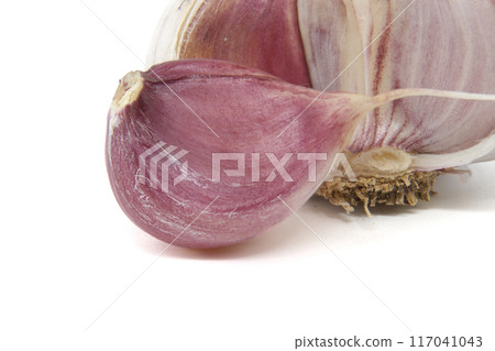 Fresh single garlic clove isolated on a white background Fresh single garlic clove isolated on a white background 117041043