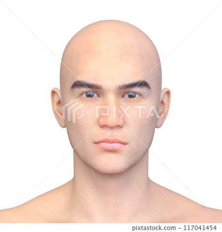 男人的臉部特寫 117041454