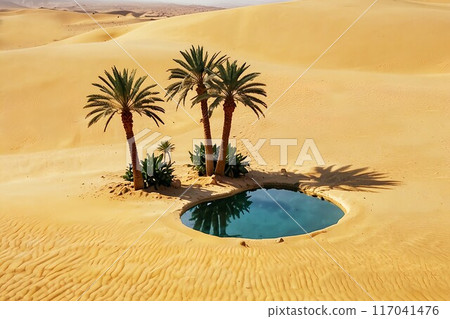 oasis oasis 117041476