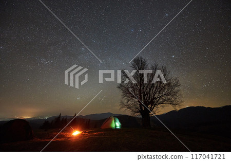 Night camping. Lone tent glows softly beside campfire under star-studded sky. Silhouette of leafless tree stands against mountainous horizon, creating serene and mesmerizing night scene in nature. 117041721