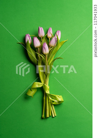 Purple tulip bouquet against bright green background in minimalist design 117041933