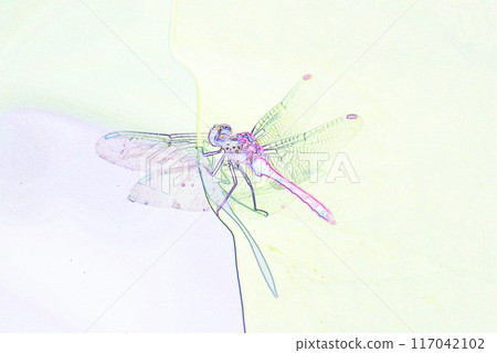 柔和風格的「蜻蜓棲息在荷葉上」插畫影像 柔和風格的「蜻蜓棲息在荷葉上」插畫影像 117042102