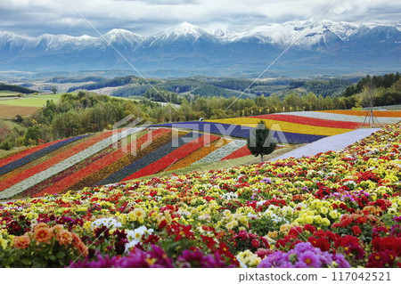 "Hill of Colors" in Autumn 117042521