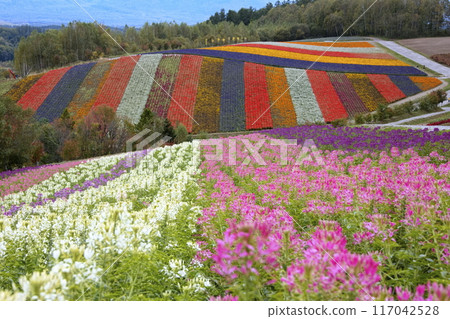 秋天的“七彩山” 117042528