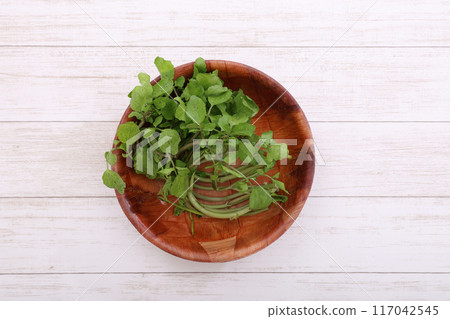 Watercress 117042545