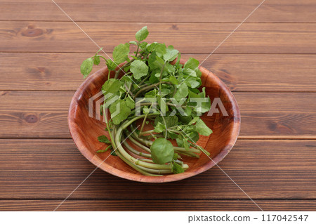 Watercress Watercress 117042547