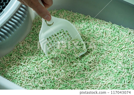 Someone scooping tofu cat litter in sand box. Tofu cat litter is made of food-grade soy pulp that would otherwise end up in landfill. It is one of the longest lasting, easiest to clean. Someone scooping tofu cat litter in sand box. Tofu cat litter is made of food-grade soy pulp that would otherwise end up in landfill. It is one of the longest lasting, easiest to clean. 117043074