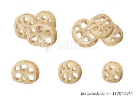 蓮藕水彩風格向量插畫 117043144