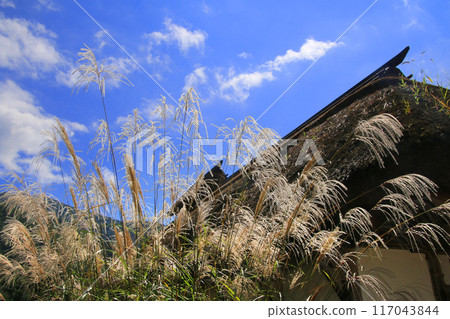 Ouchijuku in summer (Shimogo Town, Fukushima Prefecture) 117043844