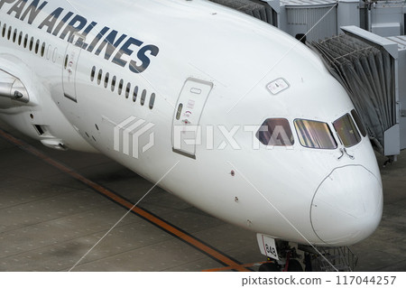 Osaka International Airport JAL passenger plane Osaka International Airport JAL passenger plane 117044257