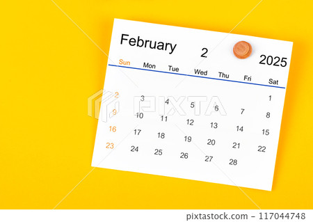 February 2025 and wooden push pin on yellow. 117044748