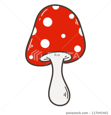 Fly agaric isolated on white background Fly agaric isolated on white background 117045401