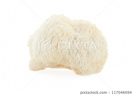 Lion's Mane mushroom on a white background. 117046094