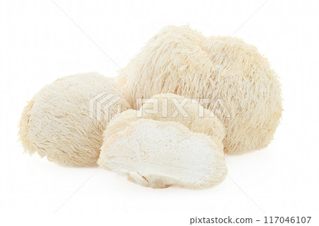Lion's Mane mushrooms on a white background. 117046107