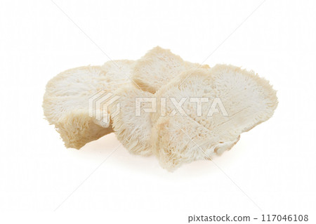Lion's Mane Mushroom against a white background. Lion's Mane Mushroom against a white background. 117046108