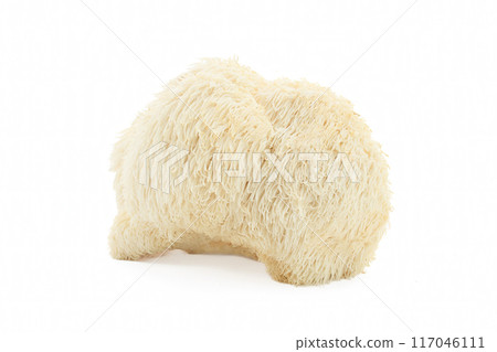 Lion's Mane Mushroom on a white background. Lion's Mane Mushroom on a white background. 117046111
