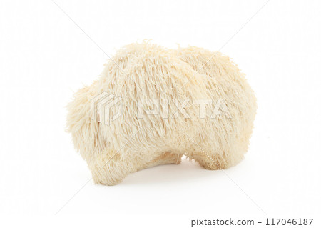 Lion's Mane Mushroom on a white background. Lion's Mane Mushroom on a white background. 117046187