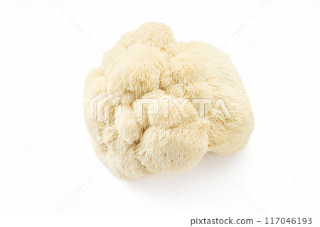 Lion's Mane Mushroom on white background 117046193