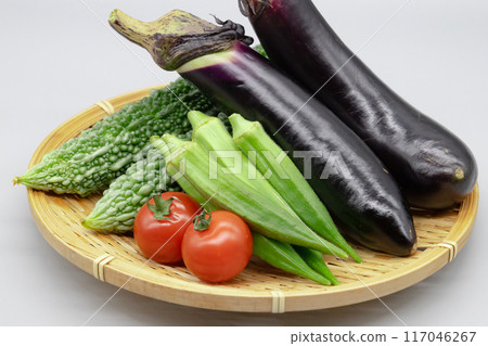 什錦夏季蔬菜 — 茄子、苦瓜、番茄、秋葵 — 放在漏杓上 什錦夏季蔬菜 — 茄子、苦瓜、番茄、秋葵 — 放在漏杓上 117046267