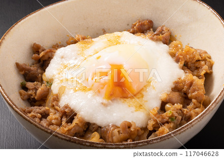Pork and egg on rice Pork and egg on rice 117046628