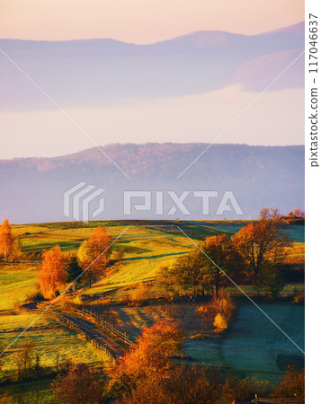 carpathian mountain landscape of ukraine in autumn. trees on the grassy hills in fall colors. countryside scenery in morning light. wooden fence along the path through field 117046637