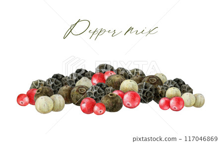 Peppercorn mix seed pile painted illustration. Peppers spice blend heap element on white background. Allspice, black pepper dry whole seeds natural aromatic spice for cooking and seasoning 117046869