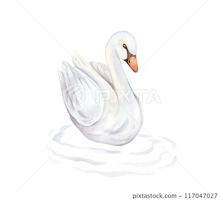 Watercolor hand painted illustration cute swans and water waves. Isolated on white background. White pastel colors bird. Wedding symbol of fidelity in the family 117047027