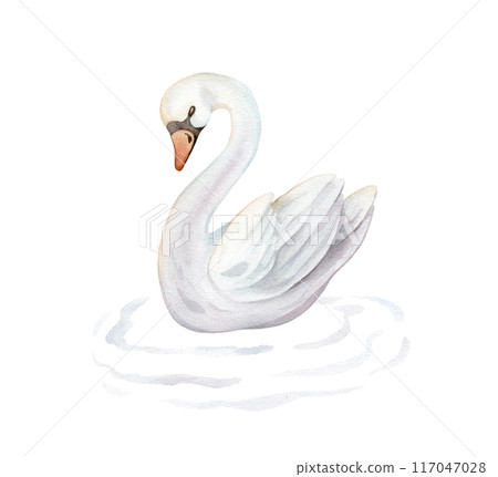 Watercolor hand painted illustration cute swans and water waves. Isolated on white background. White pastel colors bird. Wedding symbol of fidelity in the family Watercolor hand painted illustration cute swans and water waves. Isolated on white background. White pastel colors bird. Wedding symbol of fidelity in the family 117047028