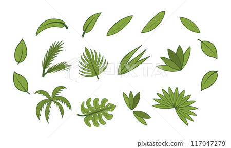 Tropical leaves set. Vector isolated elements. Vector green plant branches. Coconut, banana, palm leaves. 117047279