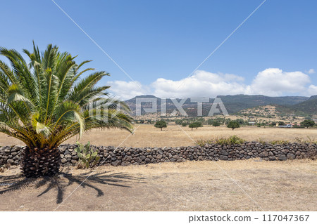 Scenic Sardinian Landscapes with Mountains and Fields in Sardini Scenic Sardinian Landscapes with Mountains and Fields in Sardini 117047367
