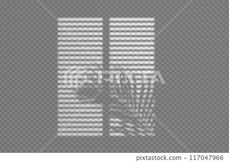 Light effect shadow overlay from blind with palm branch isolated transparent background. Shade from the jalousie and plant. Light effect shadow overlay from blind with palm branch isolated transparent background. Shade from the jalousie and plant. 117047966