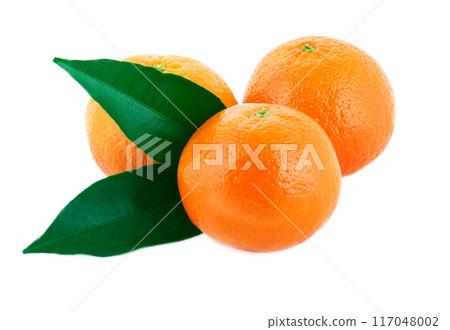 Three mandarin with green leaves isolated on white background Three mandarin with green leaves isolated on white background 117048002