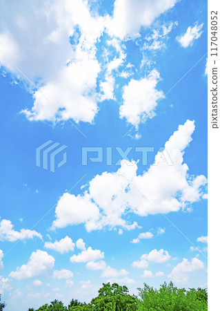 夏天的雲和樹 夏天的雲和樹 117048052