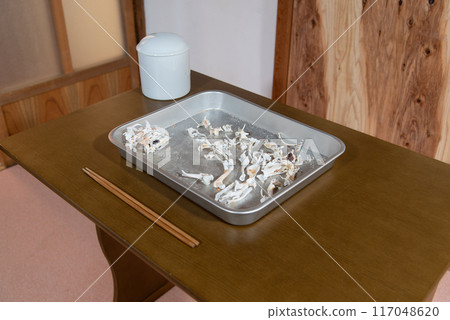 Pet cremation, pet dog, small dog, bone collection, cremation Pet cremation, pet dog, small dog, bone collection, cremation 117048620