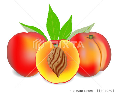 Two whole ripe peach fruit with half and leaves isolated on white background. Two whole ripe peach fruit with half and leaves isolated on white background. 117049291