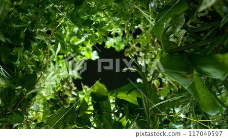 unique perspective - a view of a flowerbed of fresh herbs from below, macro shot 117049597