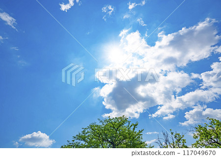 Summer clouds, trees and sun Summer clouds, trees and sun 117049670