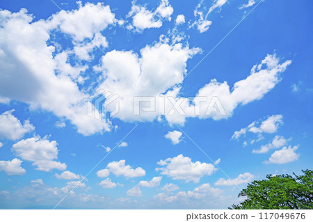 夏天的雲和樹 夏天的雲和樹 117049676