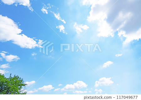 夏天的雲和樹 117049677