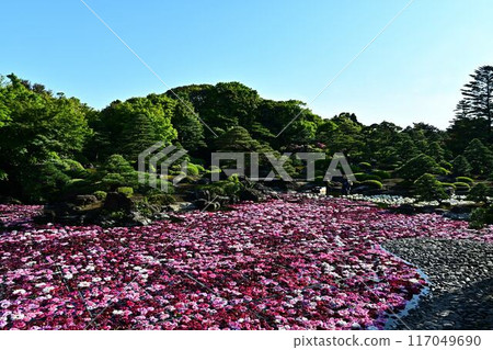 Peony of Yushien Peony of Yushien 117049690