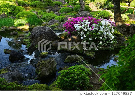 由志園的杜鵑花 由志園的杜鵑花 117049827