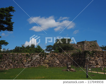 Takeda Castle Ruins 117049938