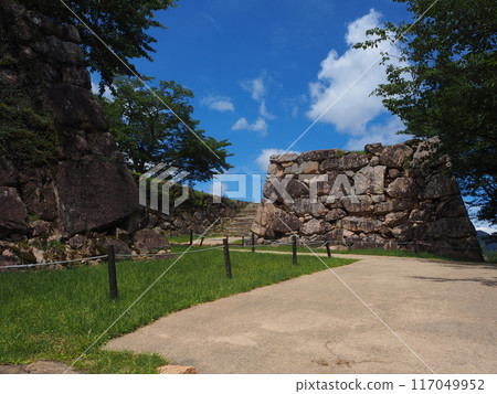 Takeda Castle Ruins 117049952
