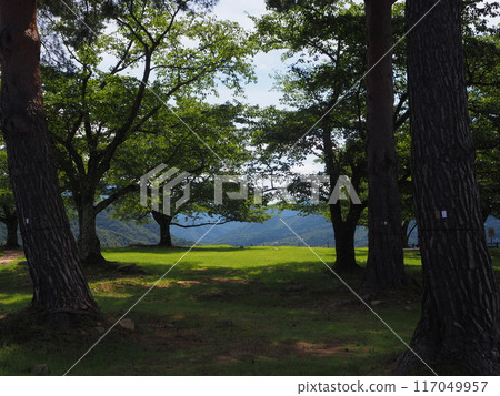 Takeda Castle Ruins 117049957