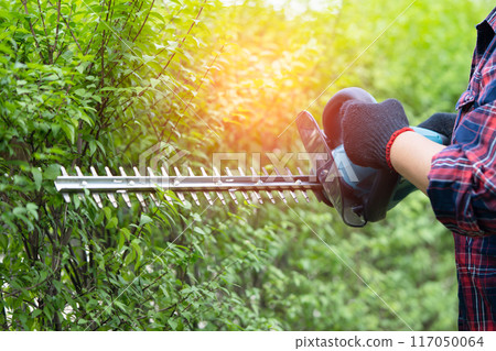 Woman taking care and growing plants, Hobby planting home garden, ornamental pruning. 117050064