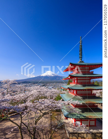 Mt. Fuji with Chureito Pagoda, Fujiyoshida, Japan Mt. Fuji with Chureito Pagoda, Fujiyoshida, Japan 117050329