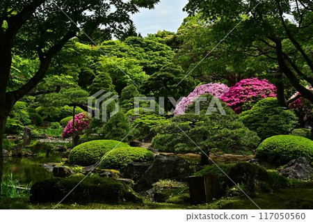 Azaleas at Yushien Garden 117050560