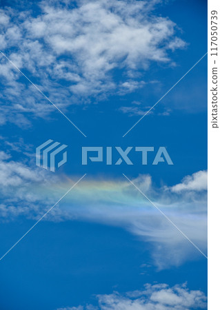 Blue summer sky and circumhorizontal arc 117050739