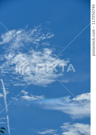 Blue summer sky and circumhorizontal arc 117050740
